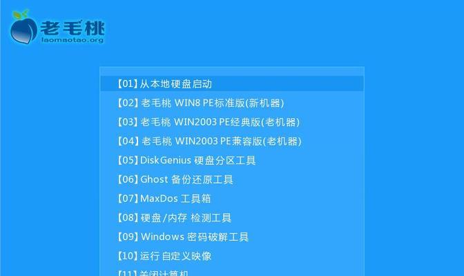 老毛桃U盘启动电脑教程（详细步骤教你如何使用老毛桃U盘启动电脑）