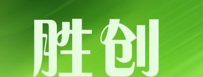 以胜创固态硬盘表现如何？（一探固态硬盘的性能和可靠性）