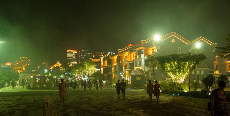 D500高感怎么样？（全面解析D500高感表现，呈现清晰细节）