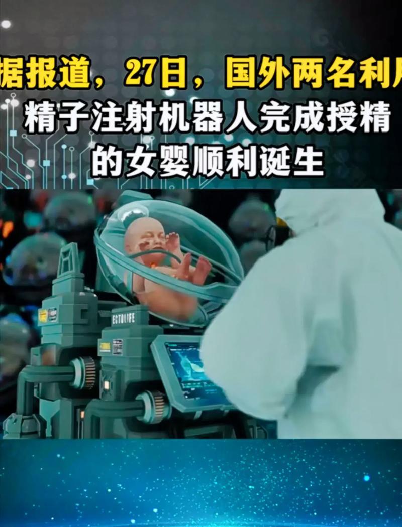 人类生宝宝的奥秘解析（探索人类繁衍生育的科学过程，从受精到胚胎发育，揭示生命的奇迹）