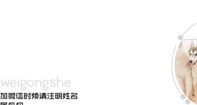 以儒意影业（关注中国电影发展的新势力和创新模式）