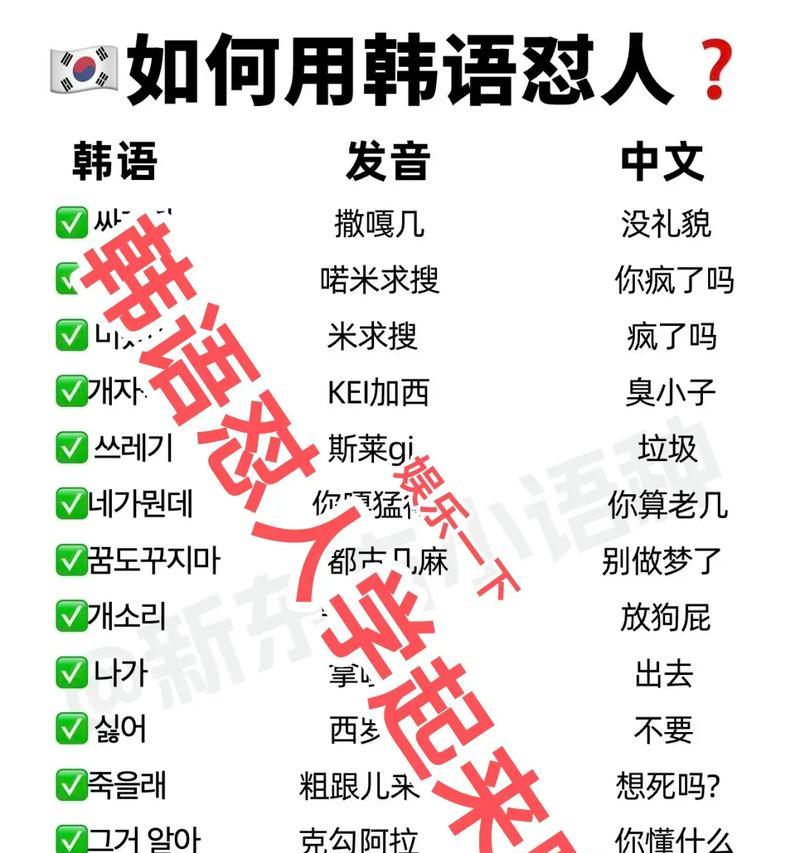 电脑学习韩语的有效方法（通过电脑学习韩语的技巧和资源分享）