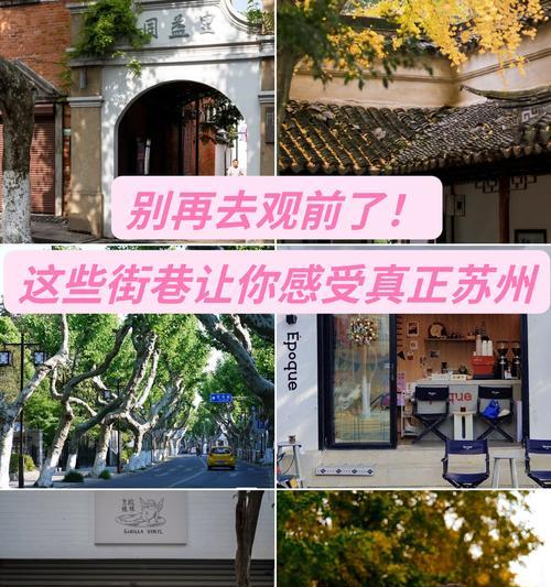 苏州小店推荐新手教程电脑购买攻略（掌握苏州小店的新手教程，购买电脑从未如此简单）