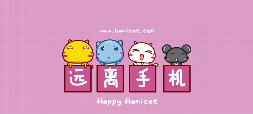 猫和电脑（揭秘651错误的原因及解决方法）